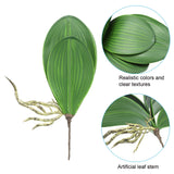 Artificial Phalaenopsis Leaves 5.5in 2pc Realistic Latex for Pot Decoration – Green