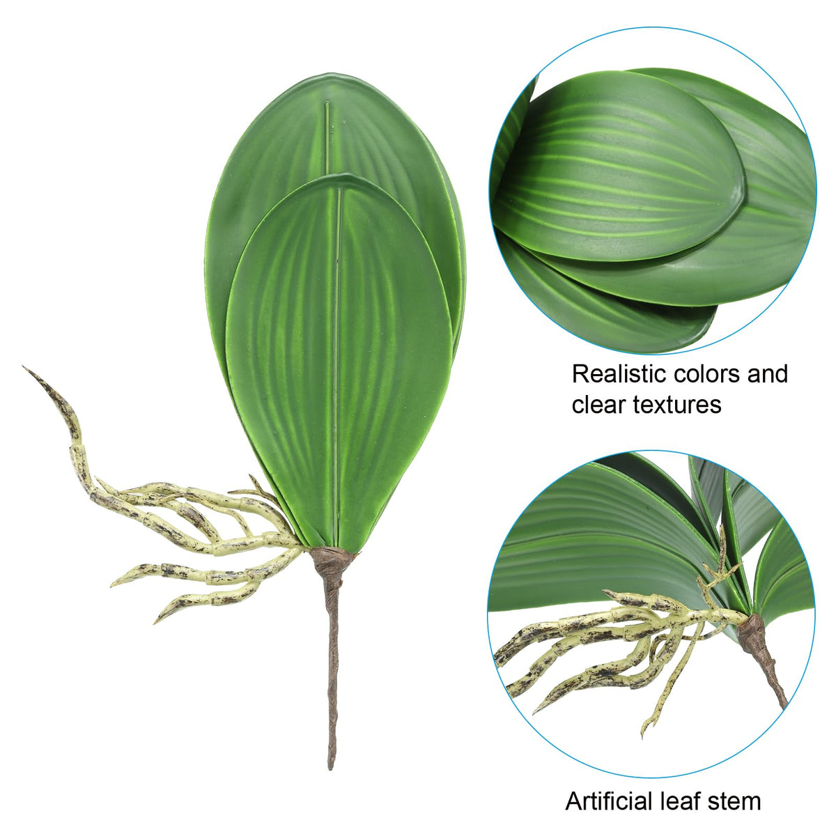 Artificial Phalaenopsis Leaves 5.5in 2pc Realistic Latex for Pot Decoration – Green