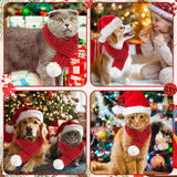 Costum festiv de Crăciun pentru animale mici cu căciuliță și fular – Roșu S