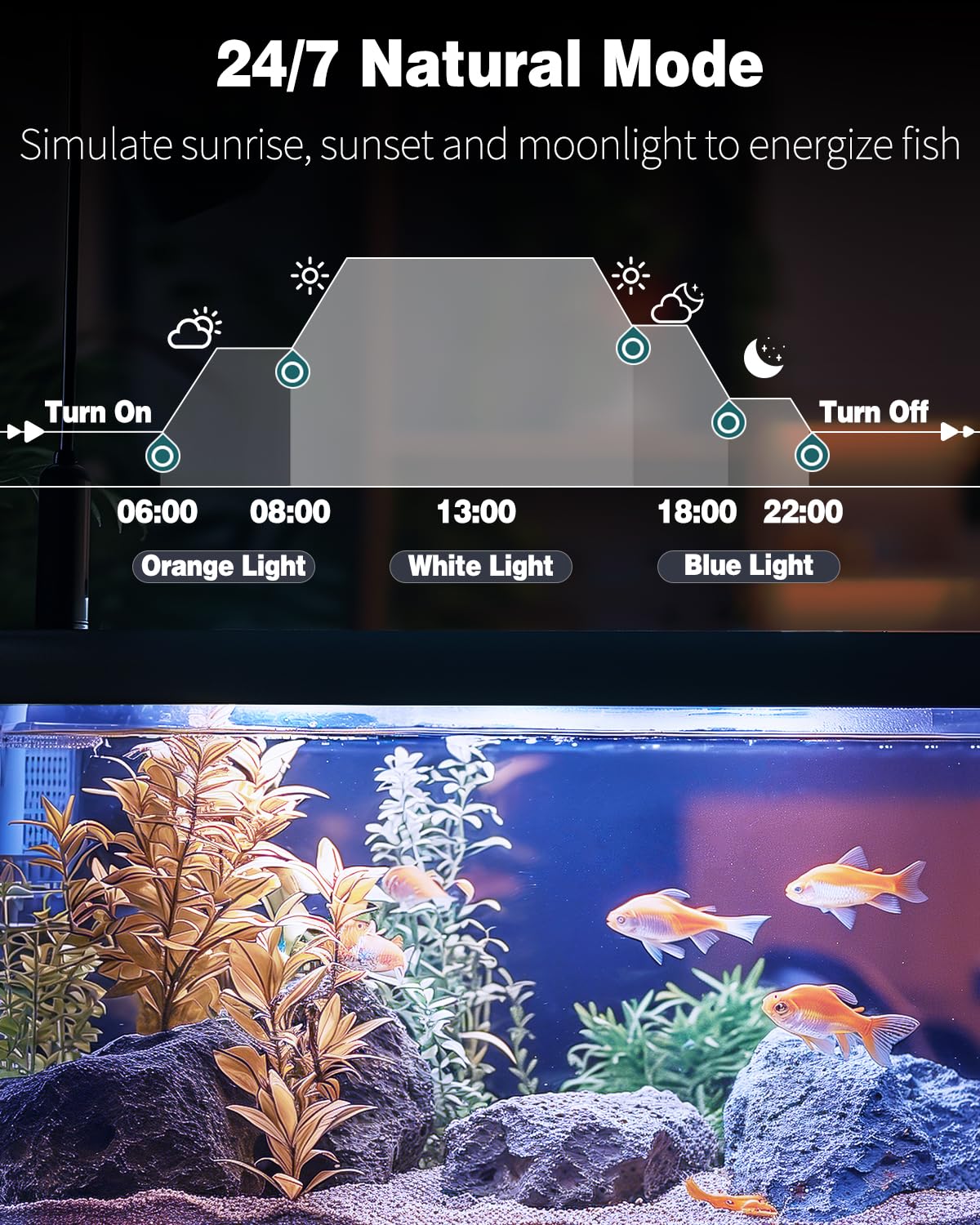 Pawfly 20 cm Aquarium Lighting LED Lighting with full spectrum Brilliant White Blue Red Green Lights LEDs with D/N mode effects Timer and adjustable brightness for freshwater aquariums