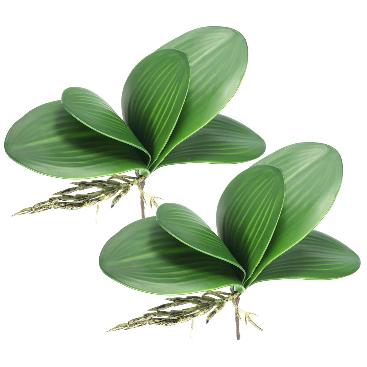 Artificial Phalaenopsis Leaves 5.5in 2pc Realistic Latex for Pot Decoration – Green