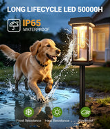 Lămpi solare de grădină cu țăruș metalic 3000K lumină caldă IP65, set 4 bucăți