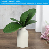 Artificial Phalaenopsis Leaves 5.5in 2pc Realistic Latex for Pot Decoration – Green