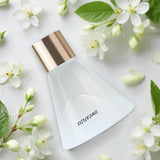 Reed Diffuser 8 Reeds Aromatic Oil – Jasmine 100ml