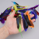 Craft Feathers 50 Pack Colourful Decorative Feathers for DIY Crafts – Multi