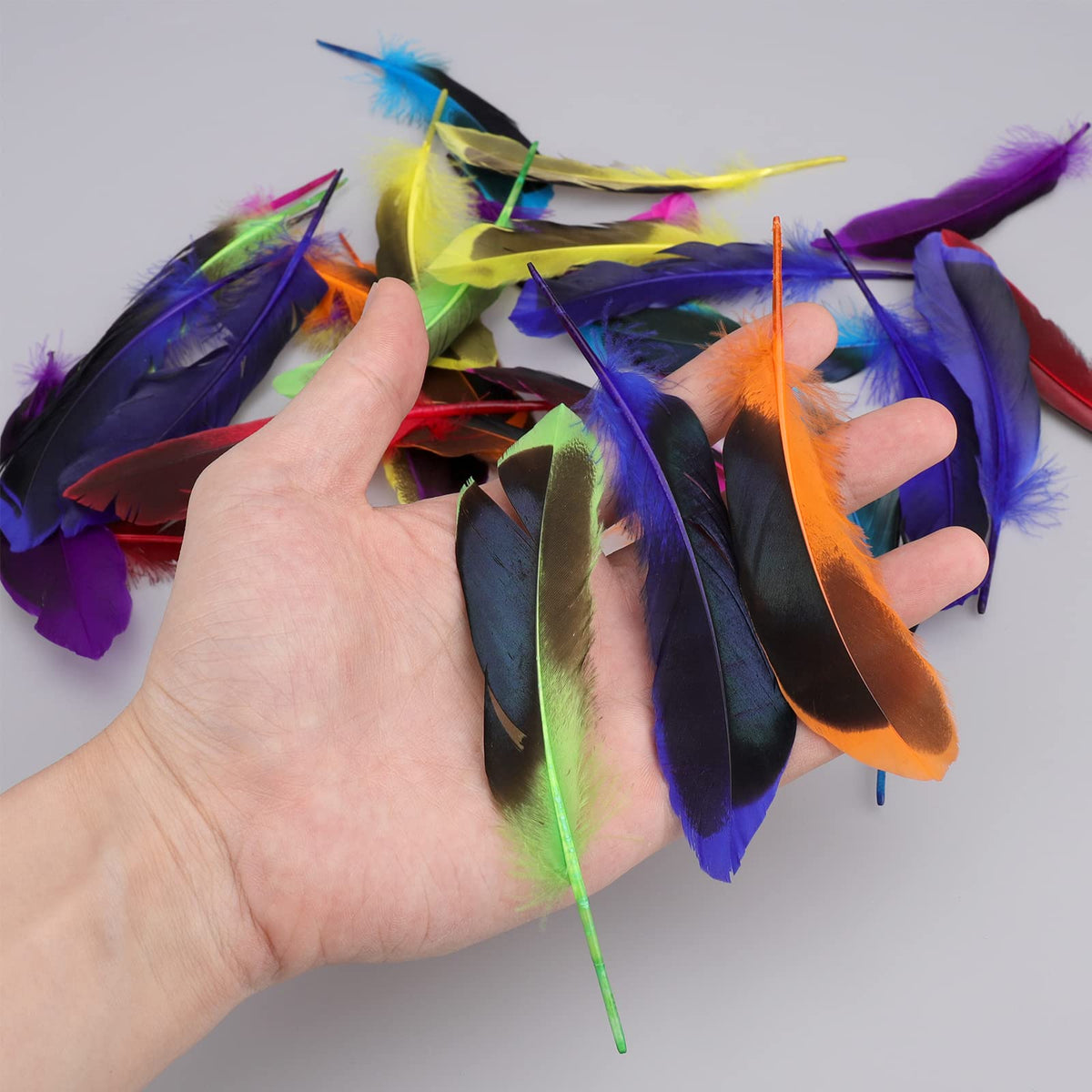 Craft Feathers 50 Pack Colourful Decorative Feathers for DIY Crafts – Multi