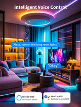 LED Pixel Controller WS2812B/WS2811 Bluetooth Alexa/Google App Control – SP528E