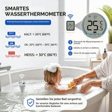 Wireless Digital Pool Thermometer with Outdoor Sensor
