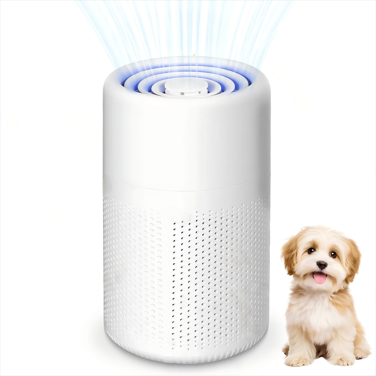 Portable USB Air Purifier HEPA & Carbon Filter 5W Low Noise for up to 20m²