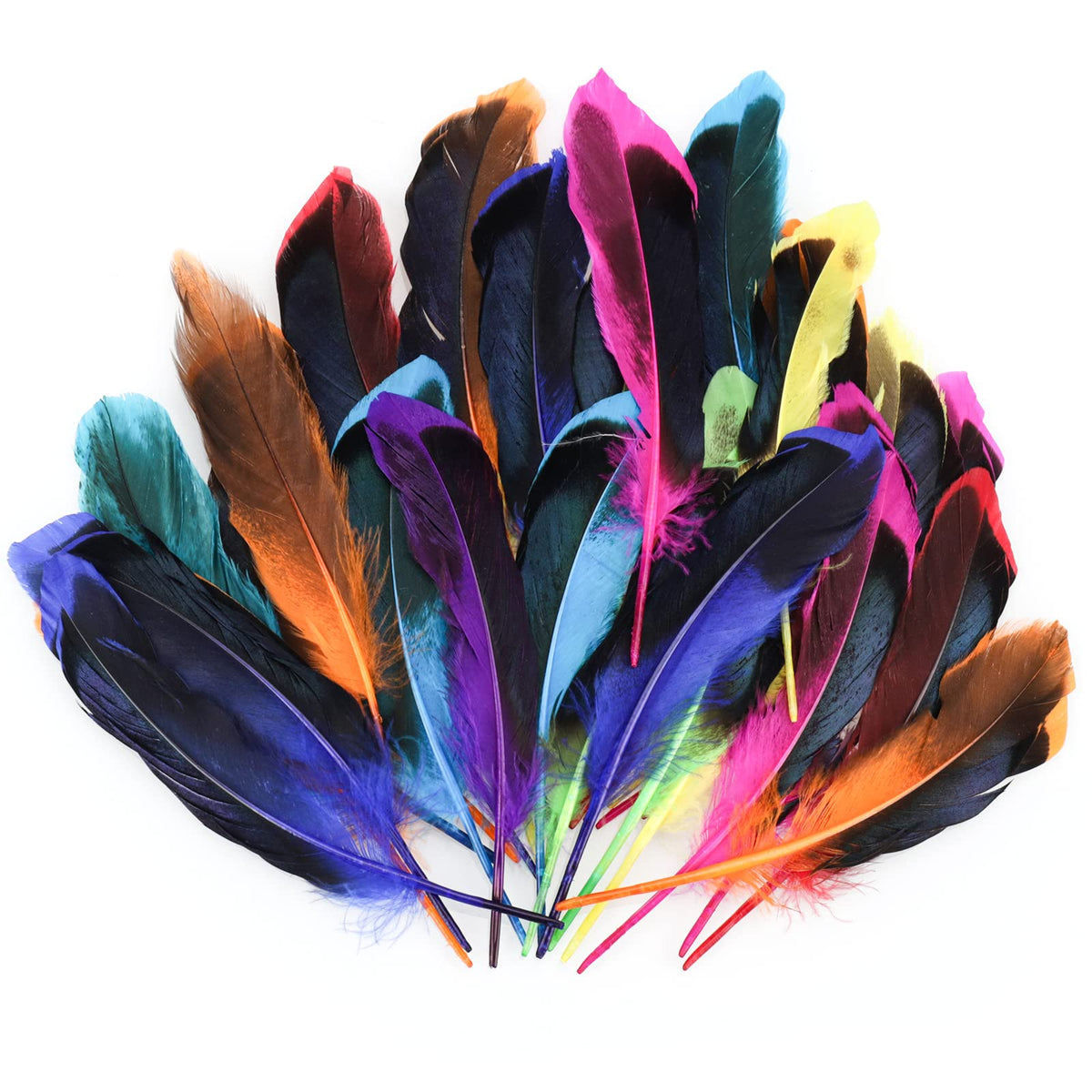 Craft Feathers 50 Pack Colourful Decorative Feathers for DIY Crafts – Multi