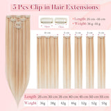 Clip-in Human Hair Extensions 25cm 5pc 7-clips Remy Invisible – Colour 18RP613R