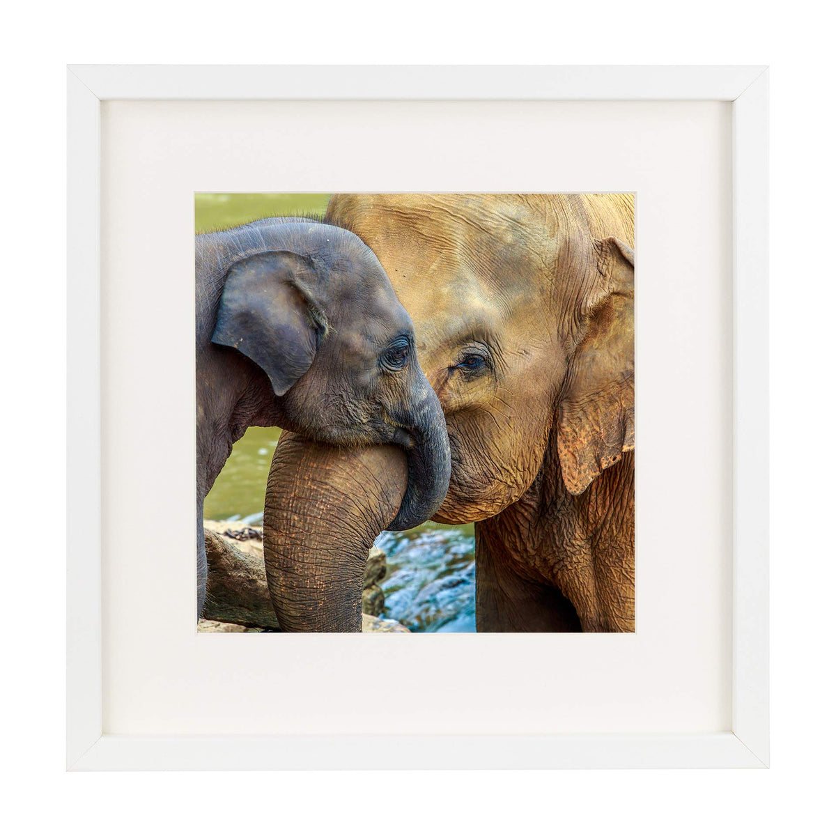 Square Photo Frame with Passe-partout – White 28 x 28 cm