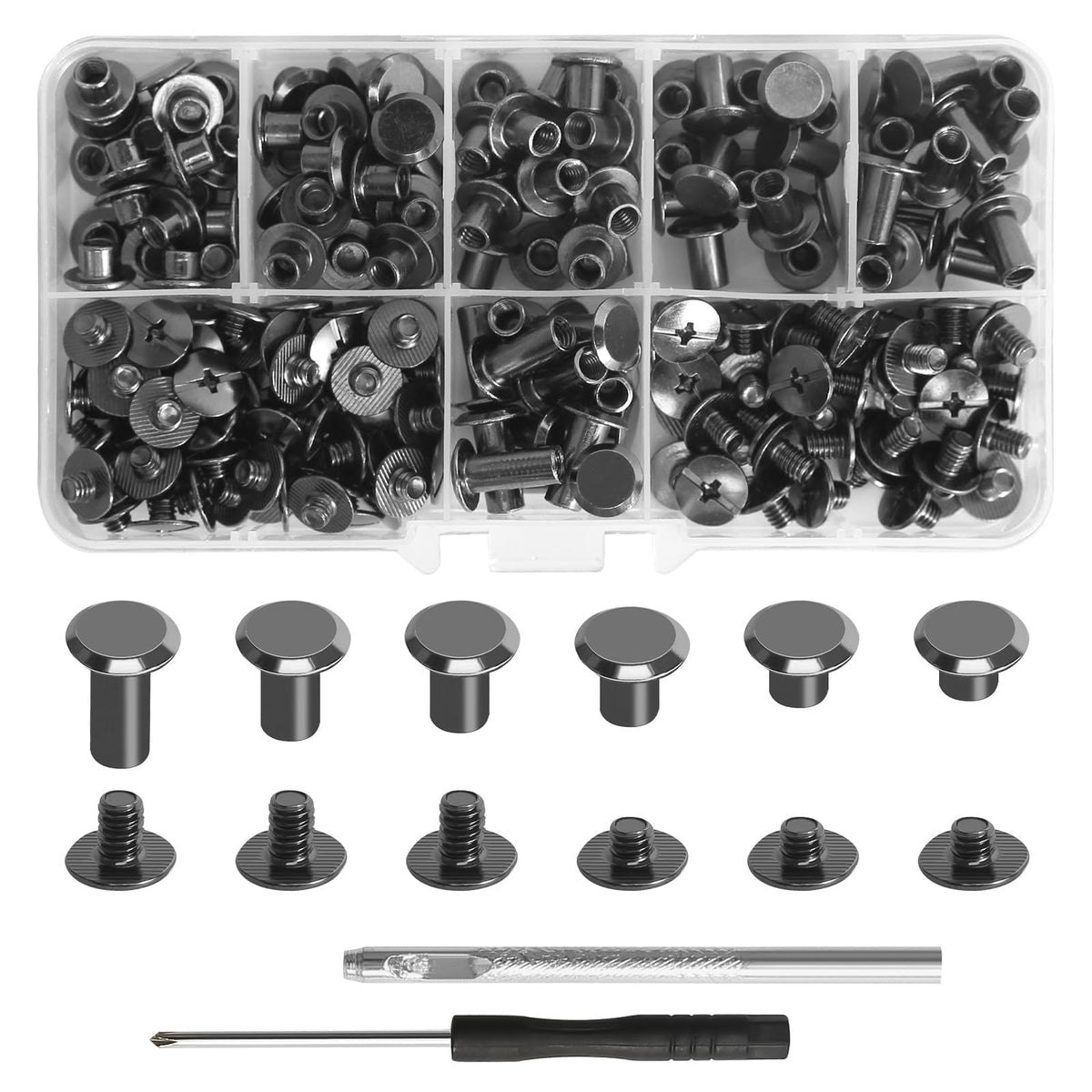 Chicago Screws Kit 110pc M5 (4/6/8/10/12mm) with Driver – Silver