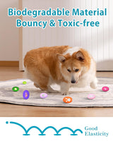 Squeaky Dog Toys 20-Pack Soft Interactive for Puppies – Assorted