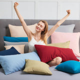 Fețe de pernă din microfibră moale hipoalergenică 30x50 cm, set 2 bucăți – Antracit