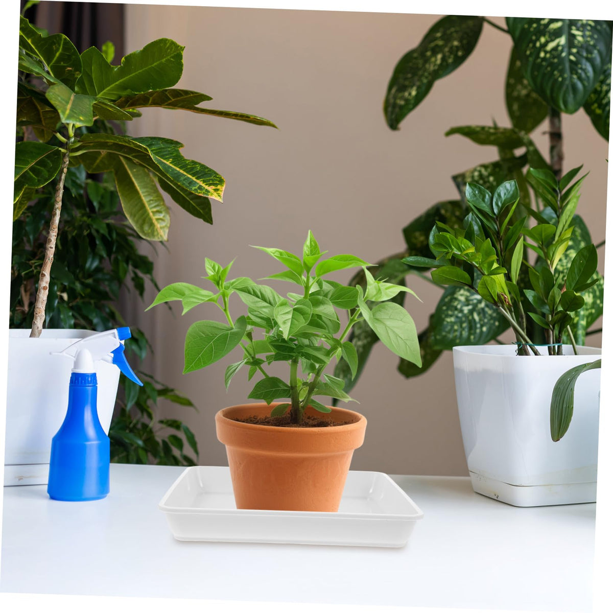 Square Plant Pot Coasters 2-Pack Water Collection Durable Plastic – 60x60cm