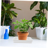 Square Plant Pot Coasters 2-Pack Water Collection Durable Plastic – 60x60cm