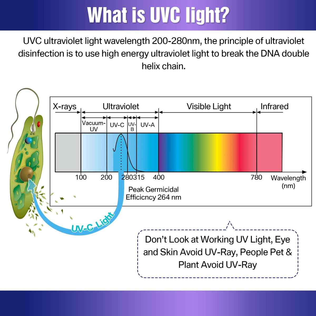 Hiboom 25W UVC Disinfection Lamp, 254nm UV Bulbs with E27 Base, 360° Sterilization for 46 m², Effective for Bacteria Neutralization in Living Rooms, Kitchens, Offices, and Basements