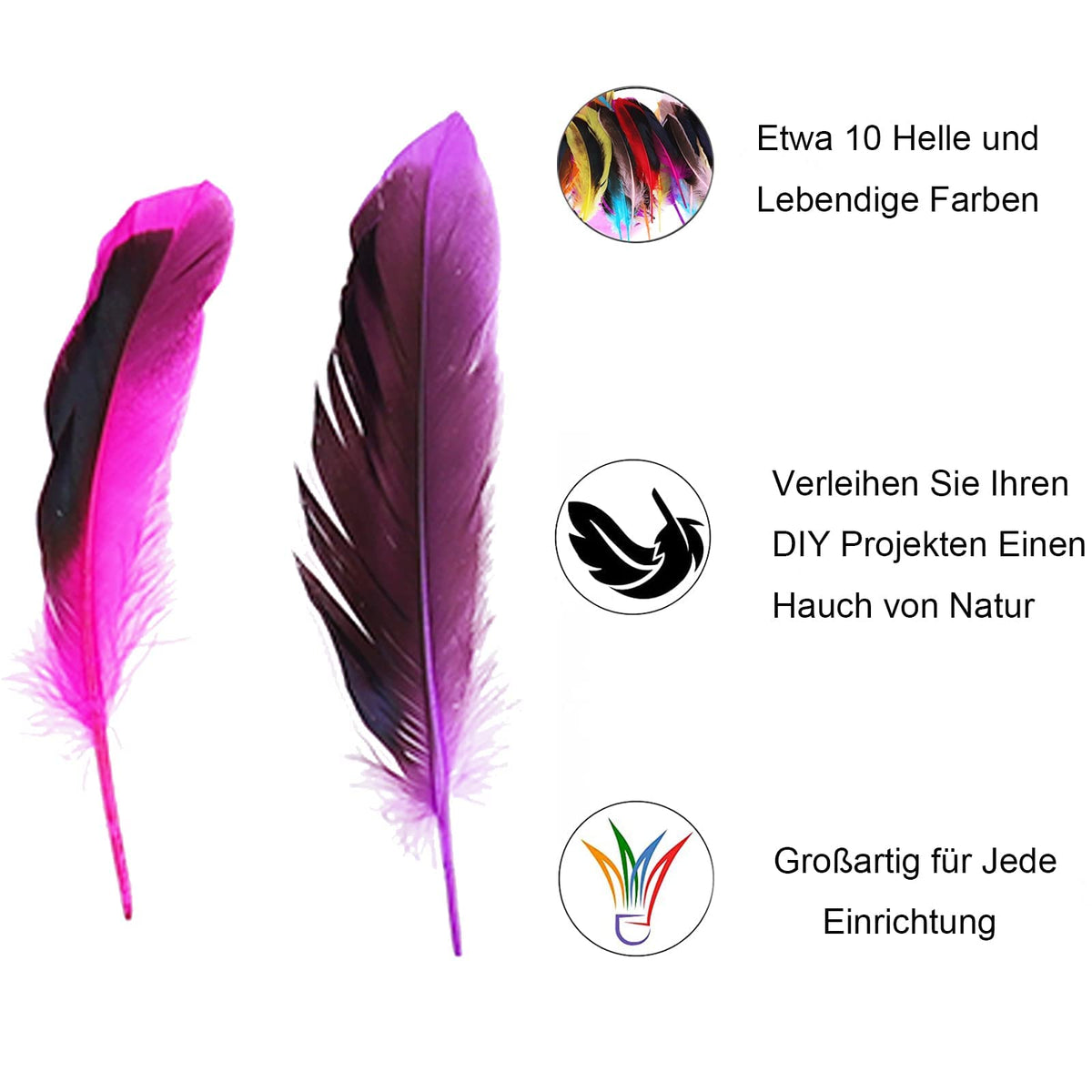 Craft Feathers 50 Pack Colourful Decorative Feathers for DIY Crafts – Multi
