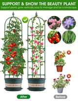 Spalier metalic tip obelisc suport pentru plante cățărătoare de grădină 180 cm