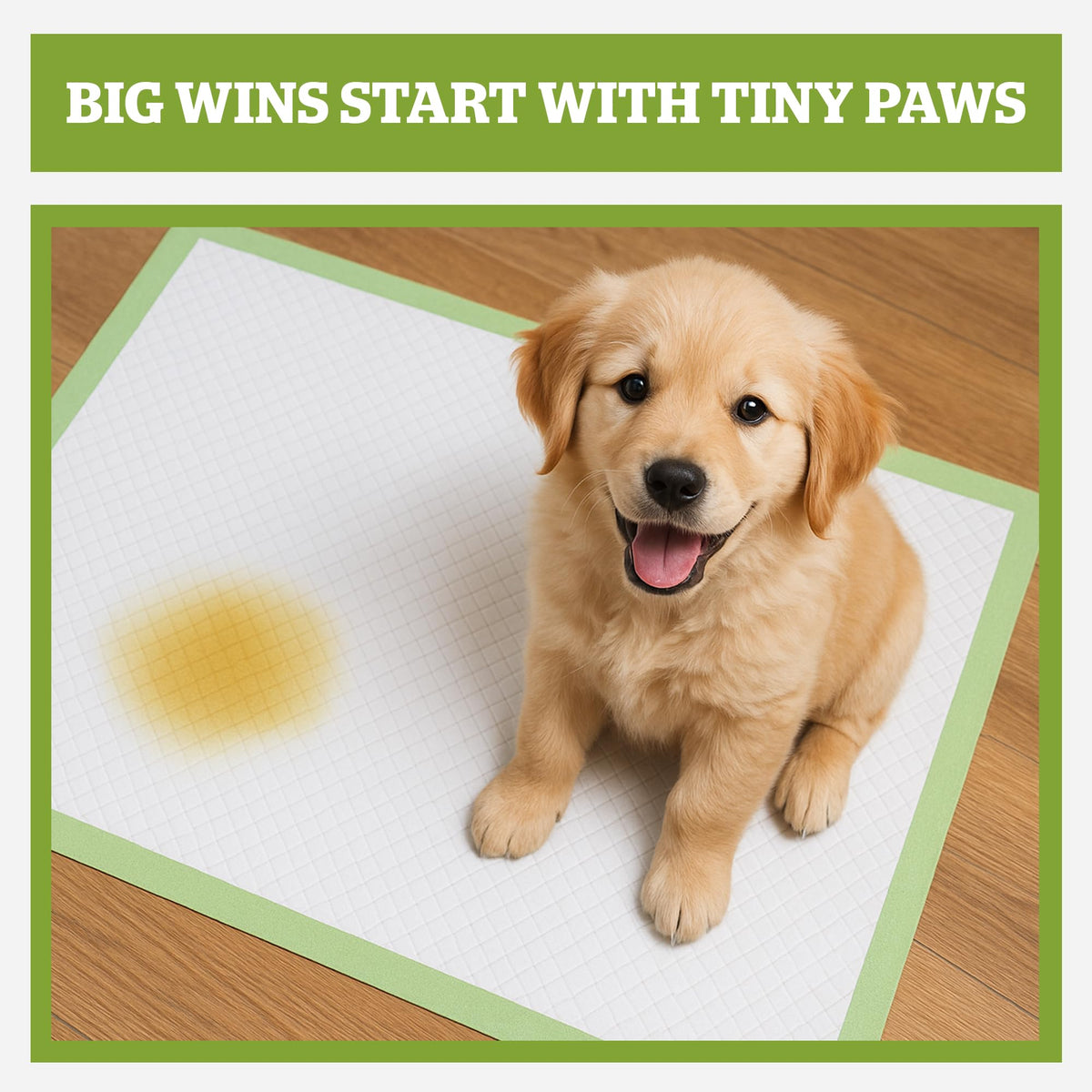 Pogi Dog Training Pads Large 60x60cm Eco-Friendly – 50 Pieces